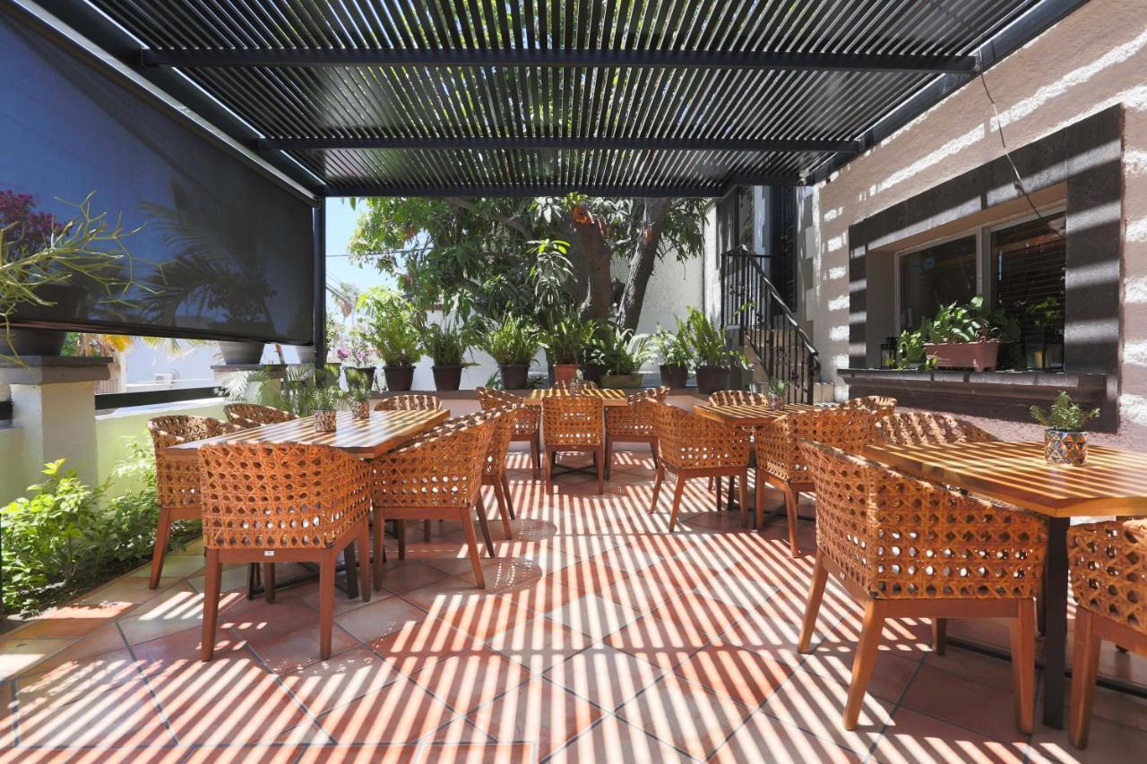 Hotel Posada Terranova San José del Cabo Zewnętrze zdjęcie