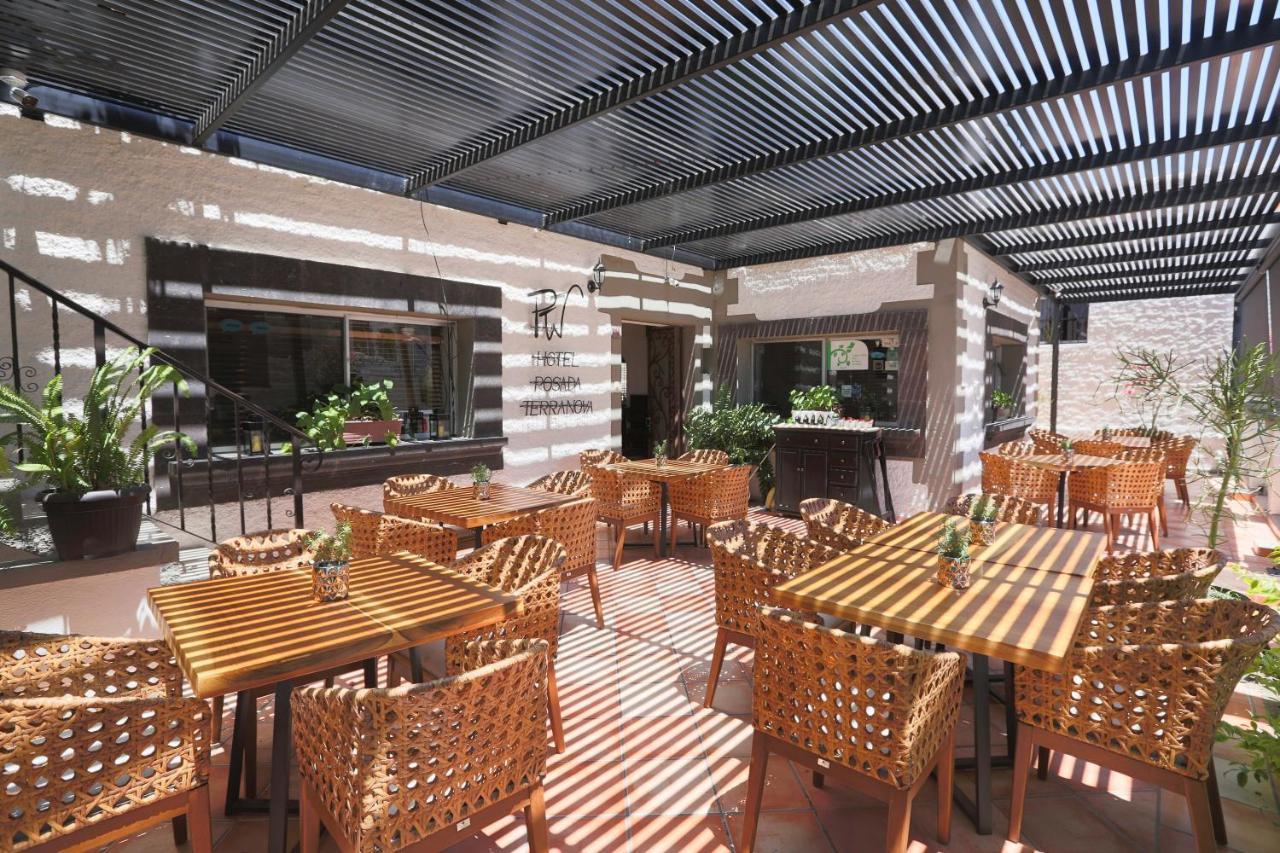 Hotel Posada Terranova San José del Cabo Zewnętrze zdjęcie