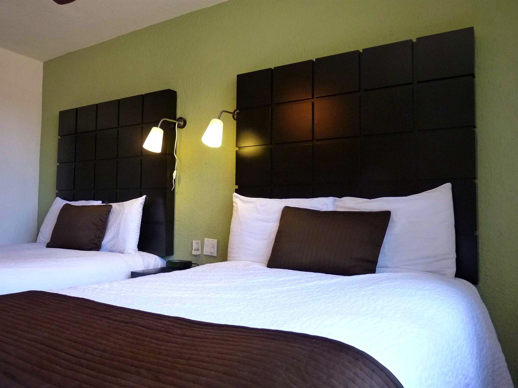 Hotel Posada Terranova San José del Cabo Zewnętrze zdjęcie