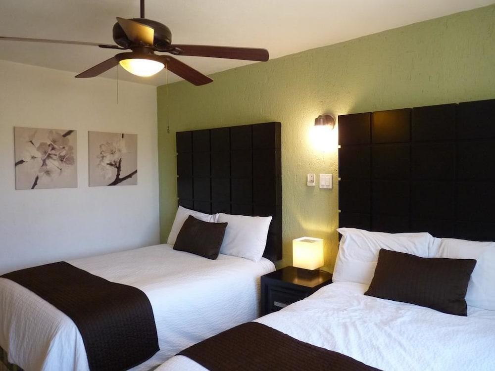 Hotel Posada Terranova San José del Cabo Zewnętrze zdjęcie